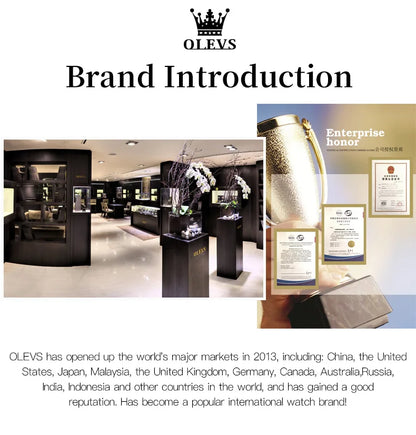 OLEVS Men's Watches Top Brand Luxury Watch for Men Original Waterproof Stainless Steel Chronograph Moon Phase Date Rota Dial